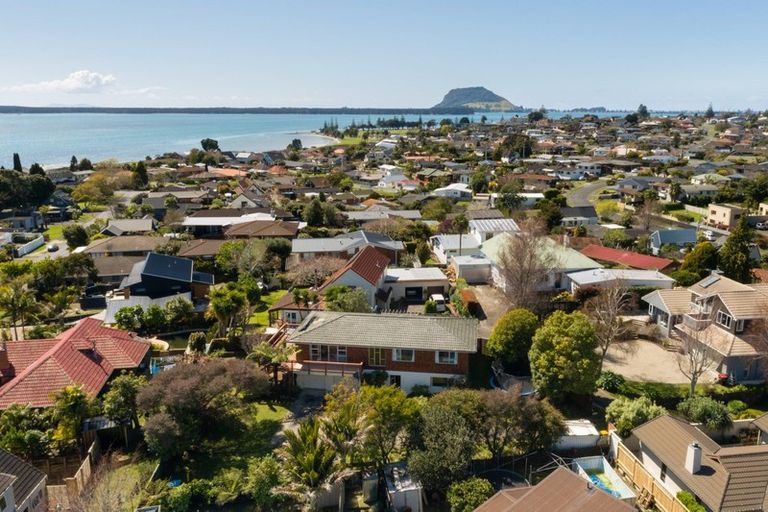 Photo of property in 163 Kings Avenue, Matua, Tauranga, 3110