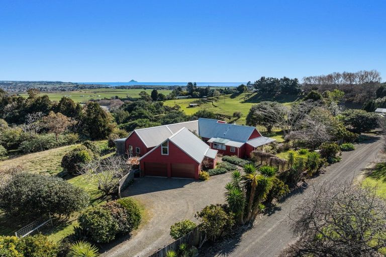 Photo of property in 306 Tablelands Road, Tirohanga, Opotiki, 3197