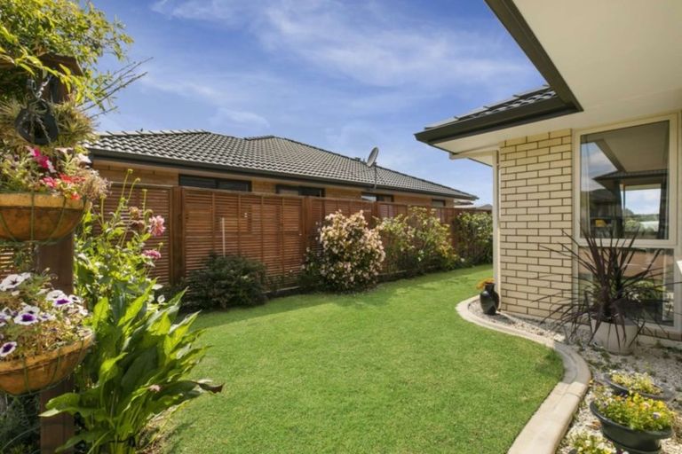 Photo of property in 31 Malta Crescent, Katikati, 3129