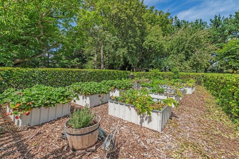 Photo of property in 176 Adams Road, Greendale, Christchurch, 7671