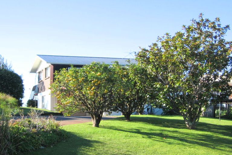 Photo of property in 69 Willjames Avenue, Algies Bay, Warkworth, 0920