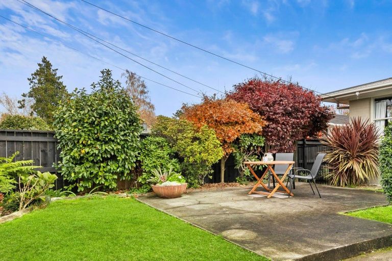 Photo of property in 12 Froude Street, Leamington, Cambridge, 3432