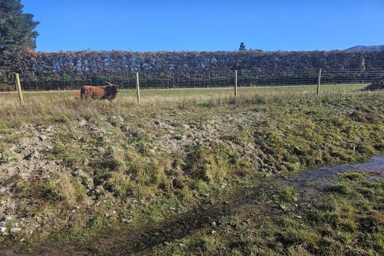 Photo of property in 404 Bush Road, Coopers Creek, Oxford, 7495