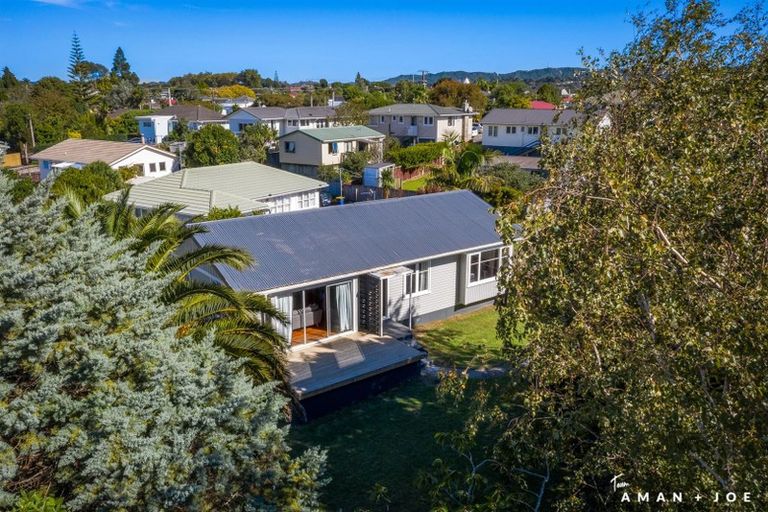 Photo of property in 78 Harrington Road, Henderson, Auckland, 0610
