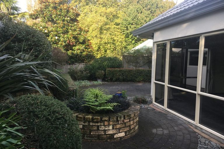 Photo of property in 6/17 Pope Terrace, Leamington, Cambridge, 3432