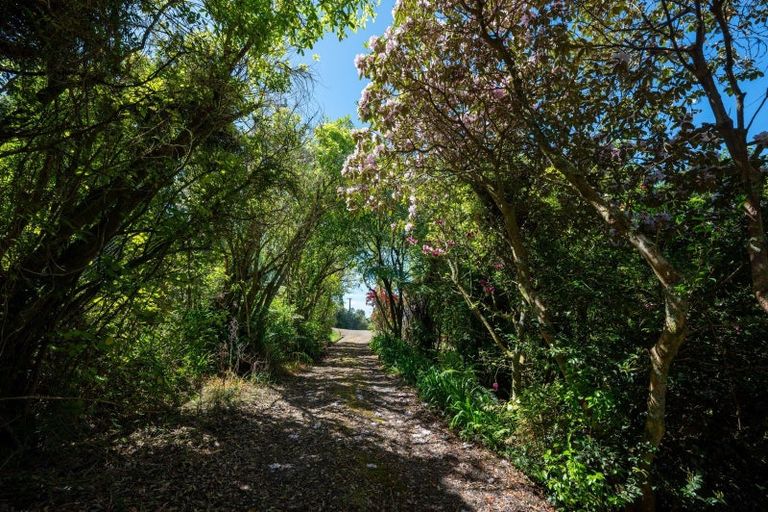 Photo of property in 81 Spencer Road, Lake Tarawera, Rotorua, 3076
