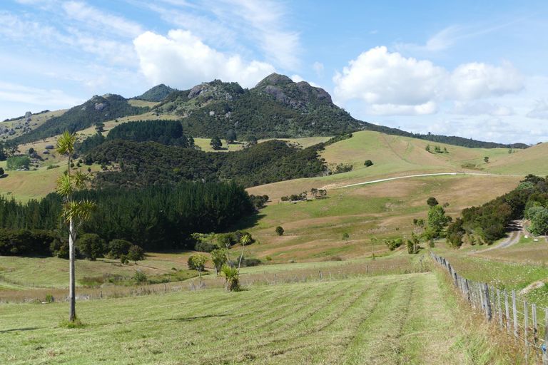 Photo of property in 234 Kerr Road, Parua Bay, Onerahi, 0192