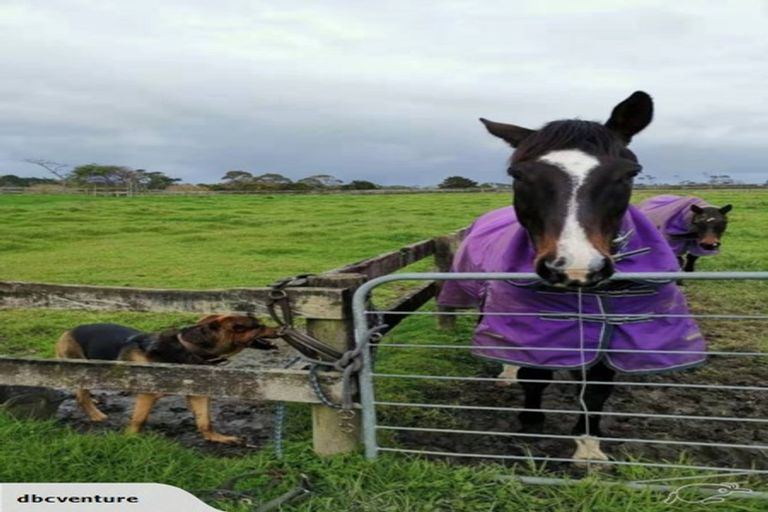 Photo of property in 348 Matua Road, Kumeu, 0891