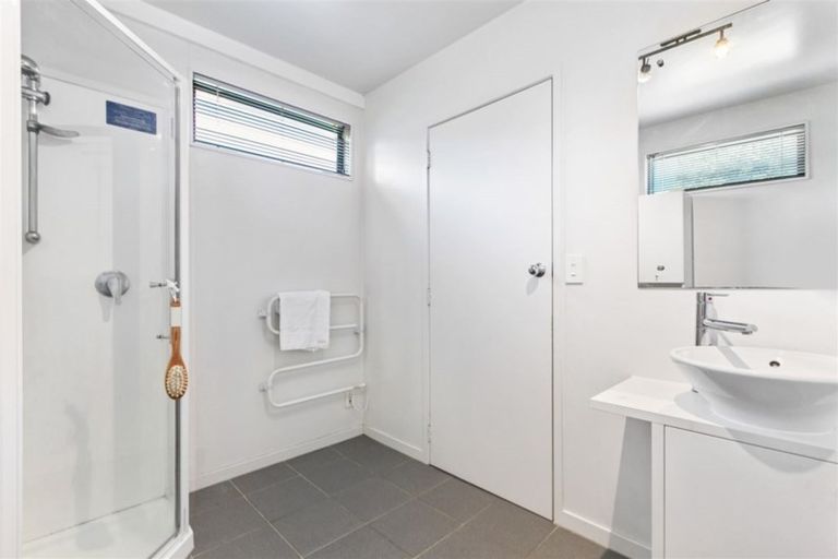 Photo of property in 101a Te Kawa Road, Greenlane, Auckland, 1061