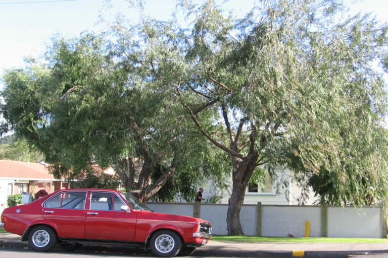 Photo of property in 11 Davies Street, Kensington, Whangarei, 0112