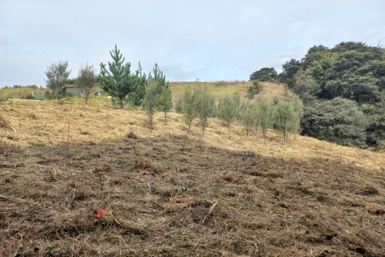 Photo of property in 146 Burnside Road, Makarau, Kaukapakapa, 0873