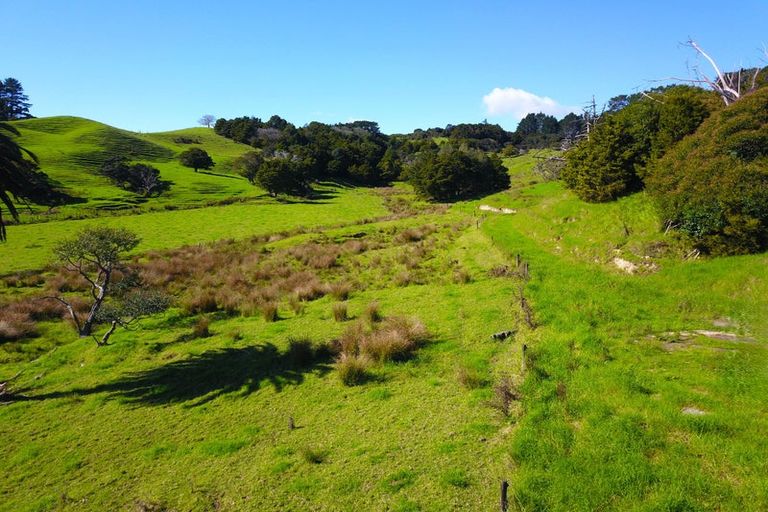 Photo of property in 110 Diggers Valley Road, Herekino, Kaitaia, 0481