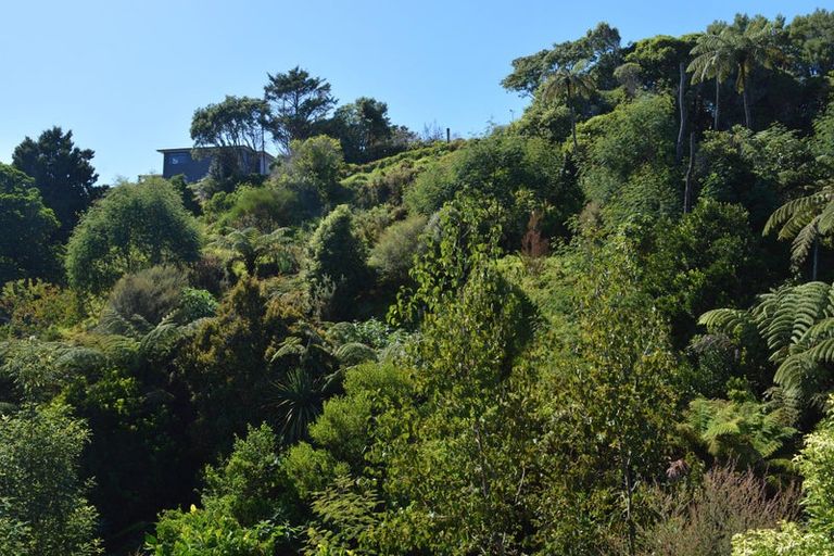 Photo of property in 446 Carrington Street, Upper Vogeltown, New Plymouth, 4310