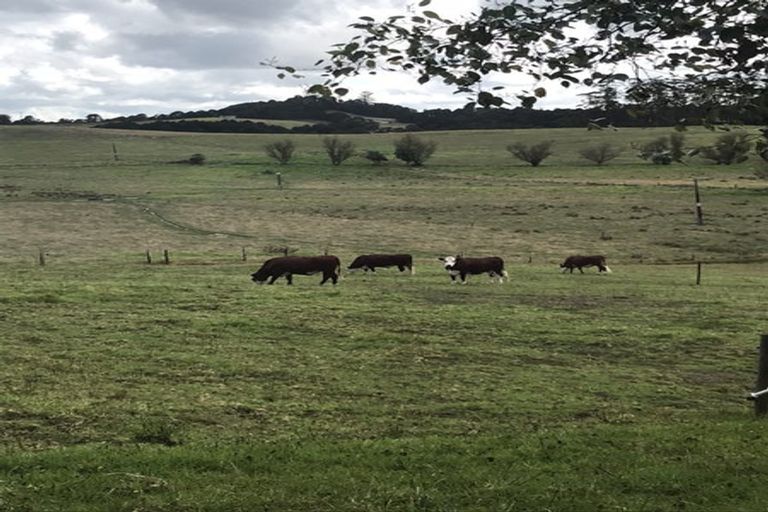 Photo of property in 130 Carruth Road, Poroti, Whangarei, 0179