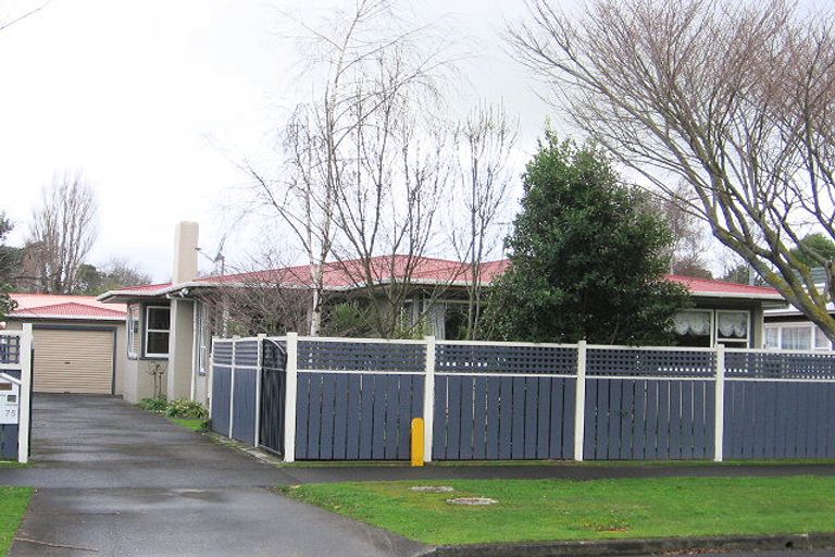 Photo of property in 75 Churchill Avenue, Hokowhitu, Palmerston North, 4410