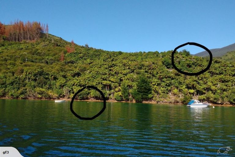 Photo of property in 117 Akerbloms Road, Punga Cove, Marlborough Sounds, 7282