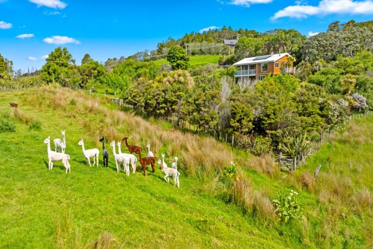 Photo of property in 87 M Greenwood Road, Leigh, 0972