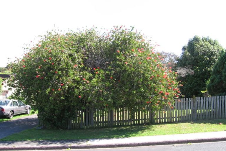 Photo of property in 1 Dunraven Place, Torbay, Auckland, 0630