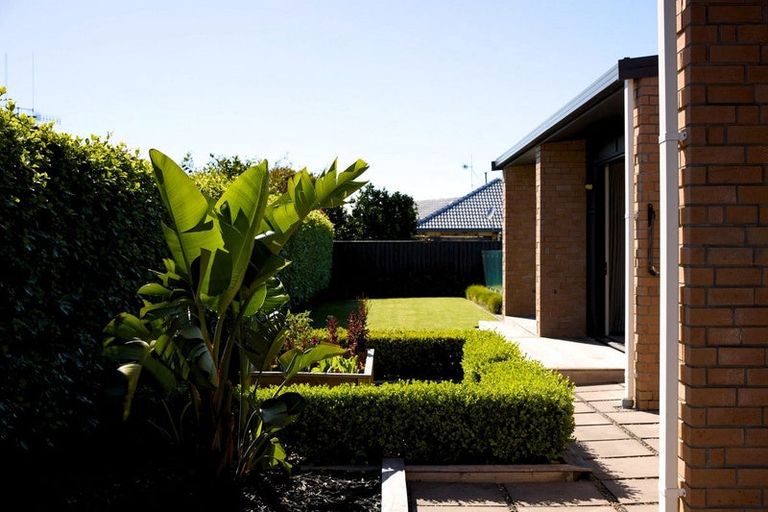 Photo of property in 174k Moffat Road, Bethlehem, Tauranga, 3110