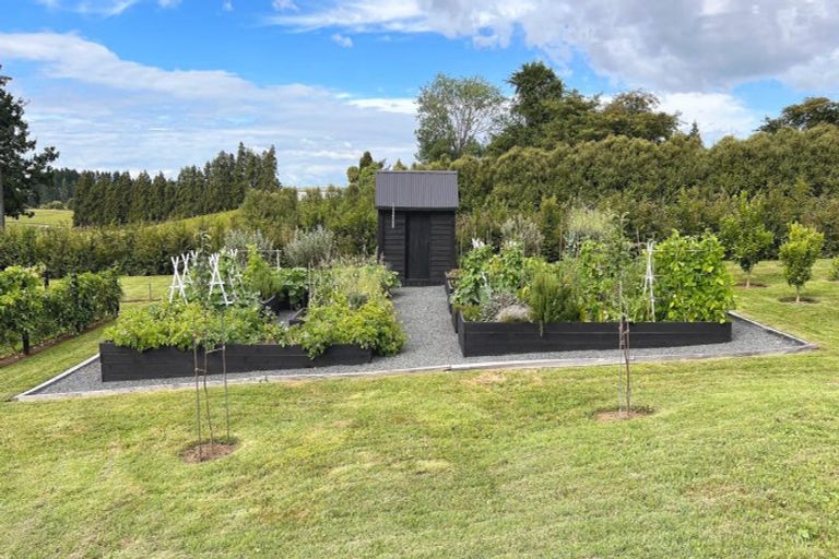 Photo of property in 320 Pokuru Road, Pokuru, Te Awamutu, 3875