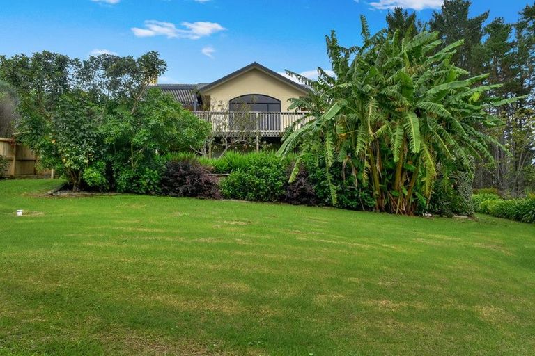 Photo of property in 14 Tupelo Place, Ohauiti, Tauranga, 3112