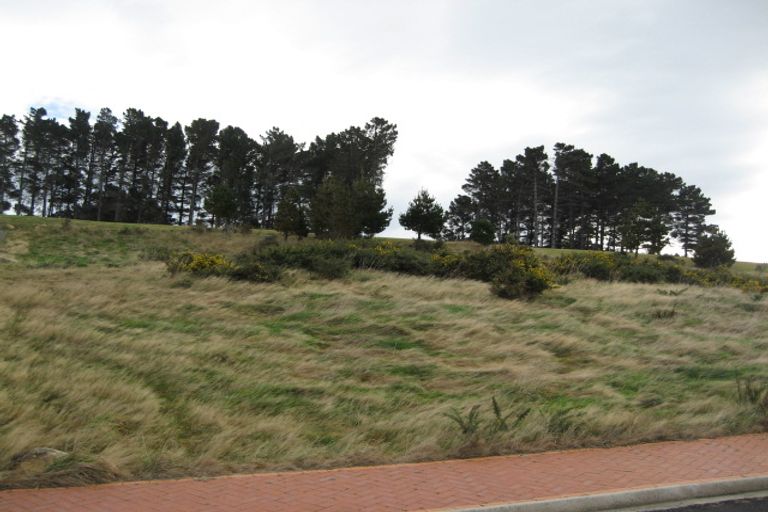 Photo of property in 22 Highgrove, Saint Clair, Dunedin, 9012