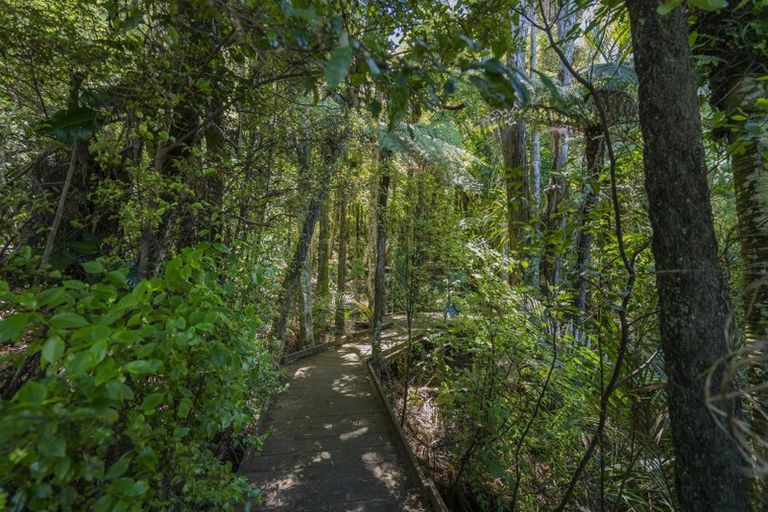 Photo of property in 49 Tarapatiki Drive, Whitianga, 3510