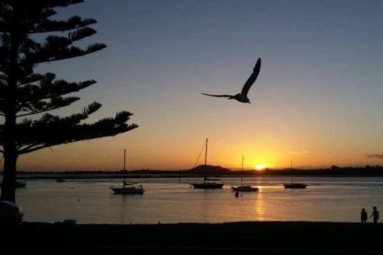 Photo of property in 103 Waller Avenue, Bucklands Beach, Auckland, 2012