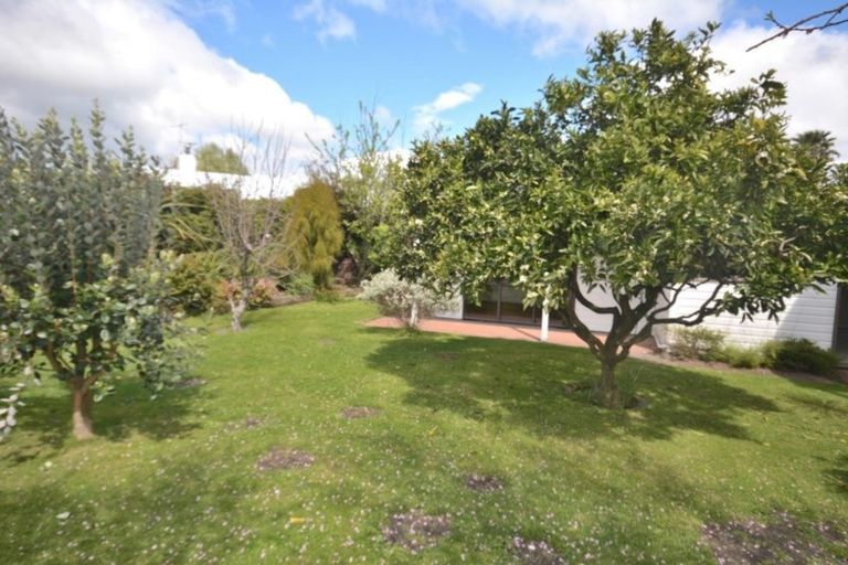 Photo of property in 5b Manson Street, Gate Pa, Tauranga, 3112