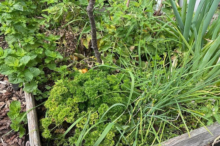 Photo of property in 74 Cambridge Terrace, Waterloo, Lower Hutt, 5011