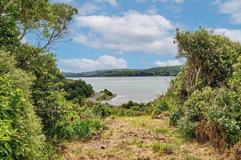 Photo of property in 44 Molyneux Close, Whitby, Porirua, 5024