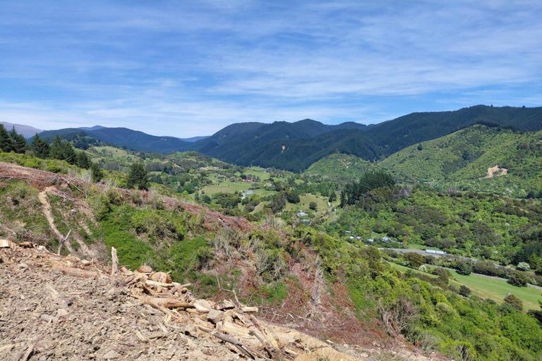 Photo of property in 80 Ross Road, Hira, 7071