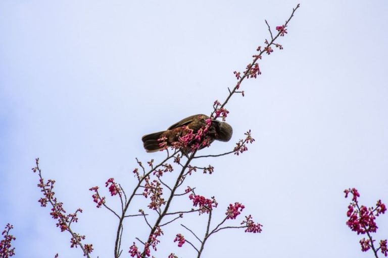 Photo of property in 26 Midland Lane, Aongatete, Katikati, 3181