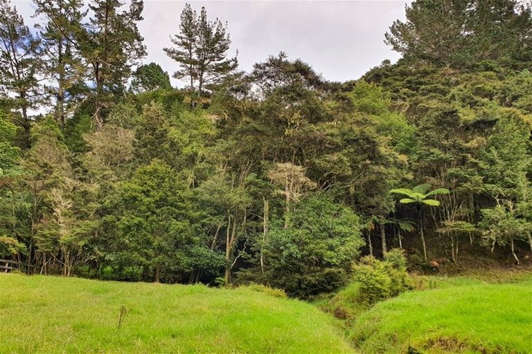 Photo of property in 67 Fraser Road, Kawakawa, 0210