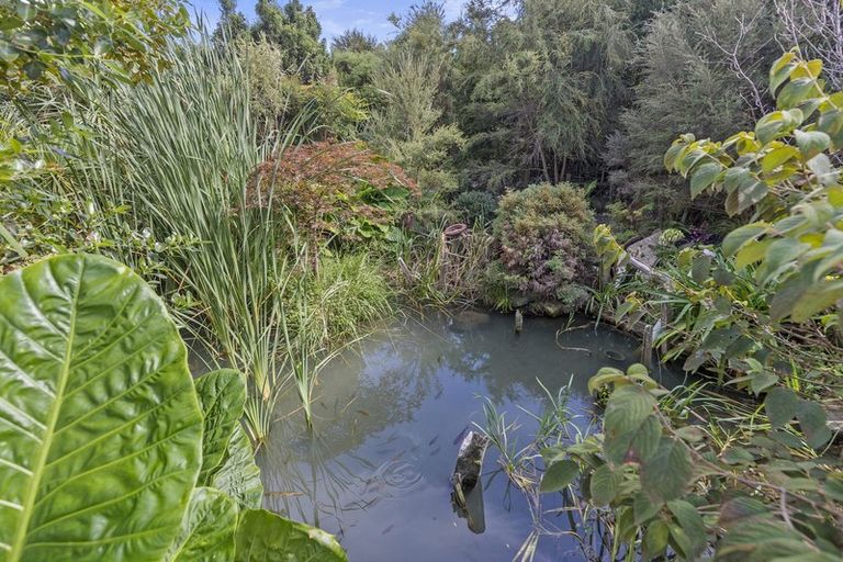 Photo of property in 17 Shakespeare Street, Te Aroha, 3320