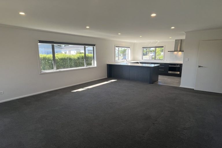 Photo of property in 10a Knowles Street, Terrace End, Palmerston North, 4410