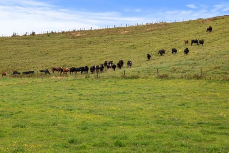 Photo of property in 614 Boylan Road, Eltham, 4398