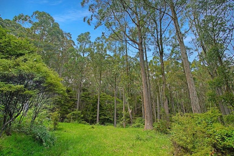 Photo of property in 259 Diggers Valley Road, Herekino, Kaitaia, 0481