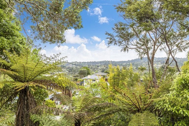 Photo of property in 21 Shetland Street, Glen Eden, Auckland, 0602