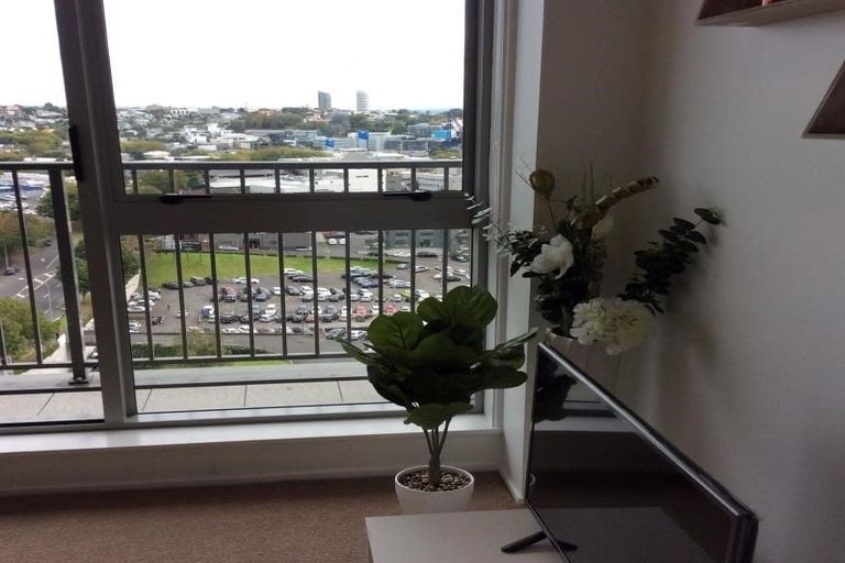 Photo of property in 53 Cook Street, Hamilton East, Hamilton, 3216