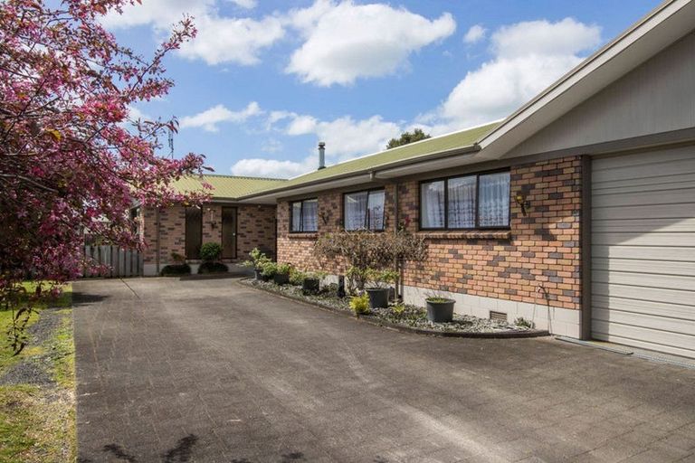 Photo of property in 16 Jocelyn Street, Katikati, 3129