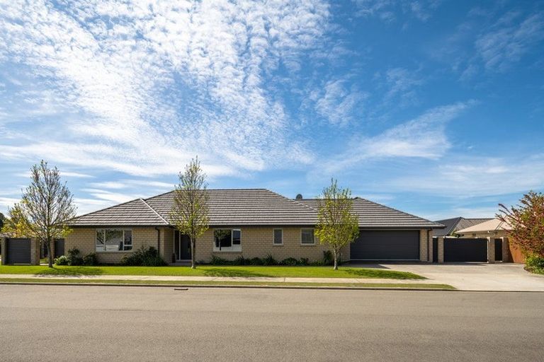 Photo of property in 37 Maeburn Street, Witherlea, Blenheim, 7201