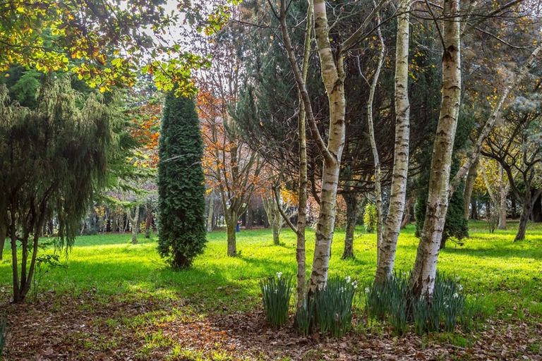 Photo of property in 265 No 1 Line, Tauwharenikau, Featherston, 5771