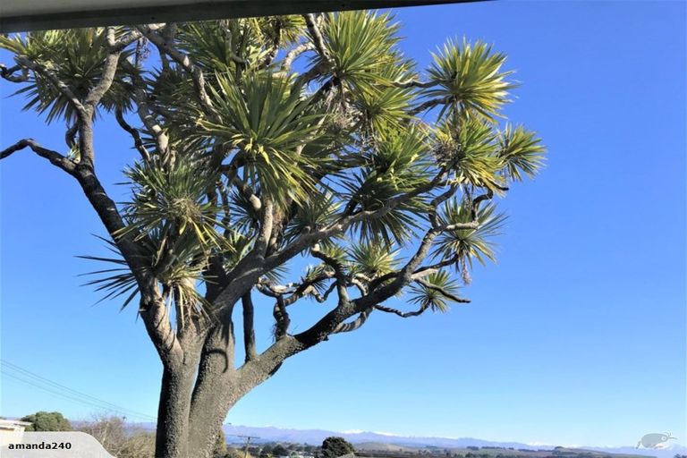 Photo of property in 10 Tamar Street, South Hill, Oamaru, 9400