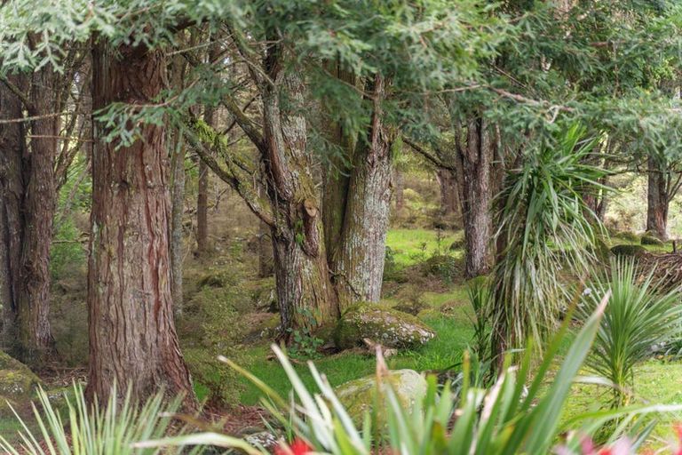Photo of property in 126a Apotu Road, Kauri, Kamo, 0185