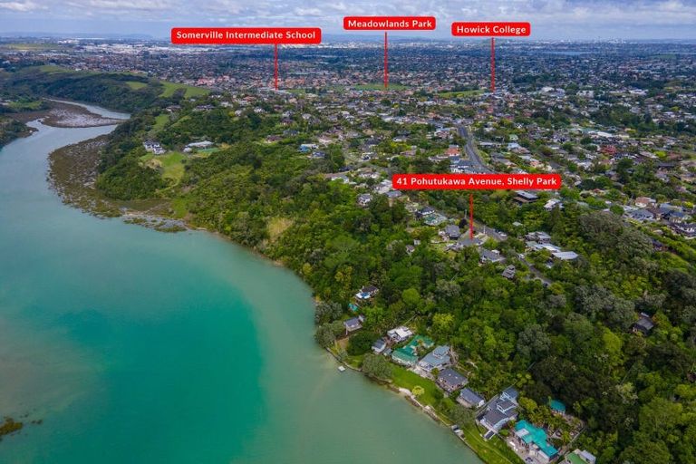 Photo of property in 41 Pohutukawa Avenue, Shelly Park, Auckland, 2014