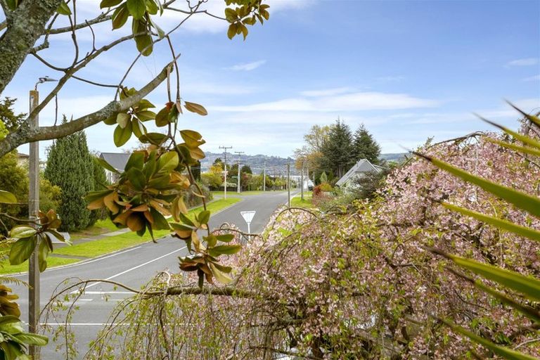 Photo of property in 46 Richmond Avenue, Richmond Heights, Taupo, 3330