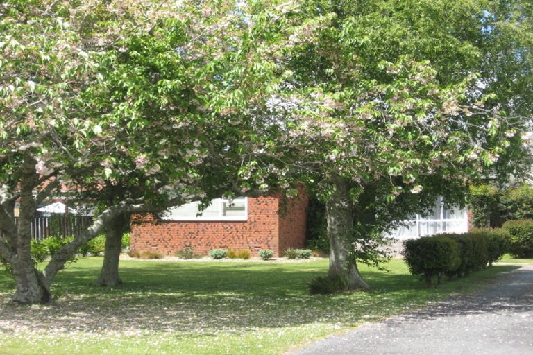 Photo of property in 66a Campbell Street, Leamington, Cambridge, 3432