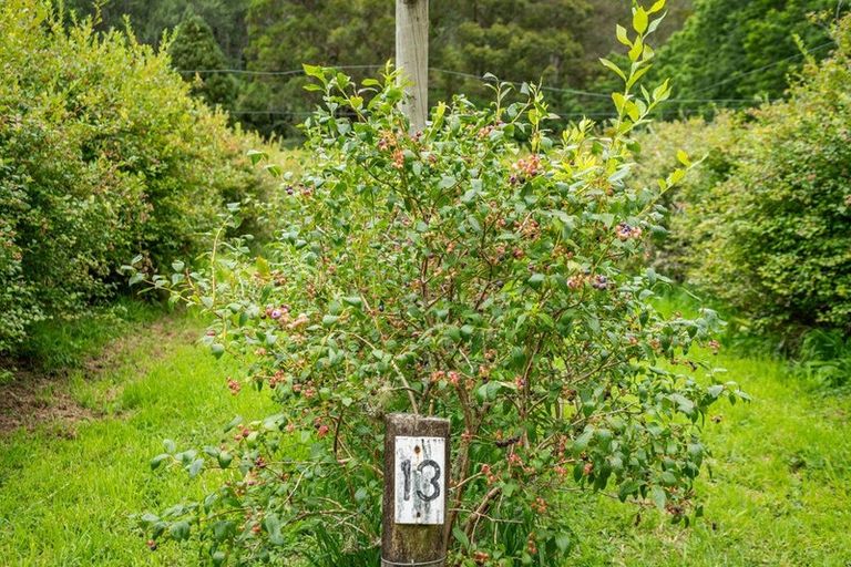 Photo of property in 1229a Akatarawa Road, Akatarawa, Upper Hutt, 5372