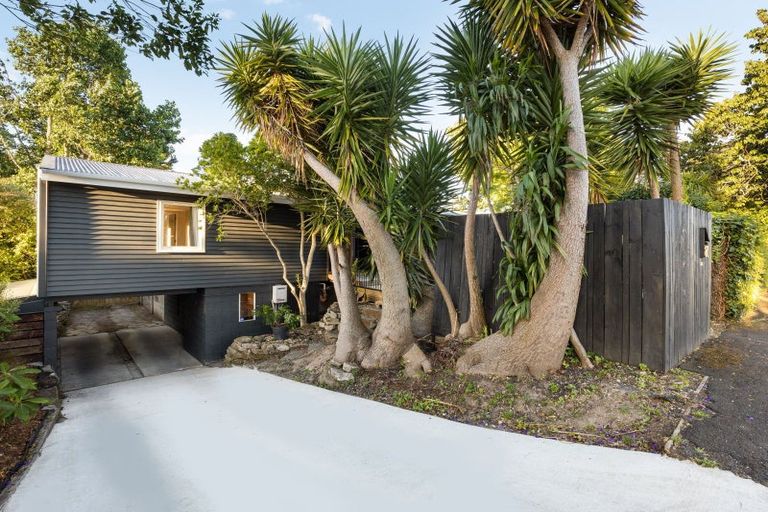 Photo of property in 87 Clarkin Road, Fairfield, Hamilton, 3214